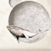 Avatar for KreciK93