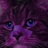 Avatar für Ghostpoptapee99