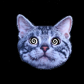 Avatar for Yokin_strickly