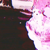 IMG_1216.gif