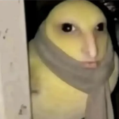 zzesralemsie için avatar