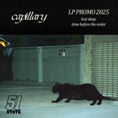 LP Promo 2025 [Explicit]