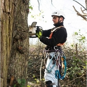 Avatar for treeservicestam