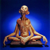 Avatar for mahatmaMJ