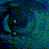 Avatar für flavenfl
