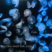 Electric Sheep for Sleep