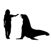 Avatar for sealion2