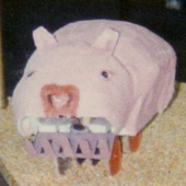 Avatar for DuckGWR