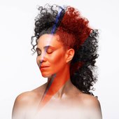 Loving the Alien (2018) album artwork