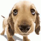 Avatar for baffsy