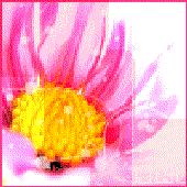 Avatar for iva2802
