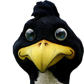 Avatar for zdziar5on