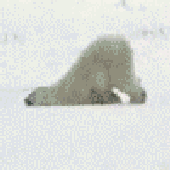 Avatar for SaveMeeJeebus