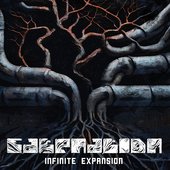 Infinite Expansion