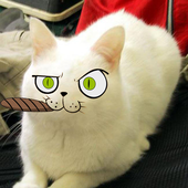 Avatar di Deadpico
