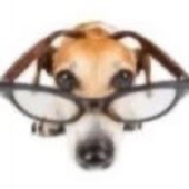 Avatar di Lollosz