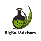 Avatar for bigbudadvisors