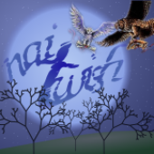 Avatar for naiTwish