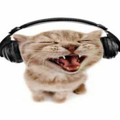 Avatar for naxefied