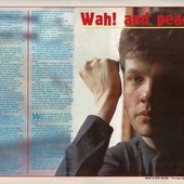 Record Mirror (January 8, 1983)