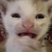 Avatar for peachfaerii