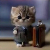 Avatar for Gerald_7787