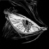 Avatar di AsyncBeholder