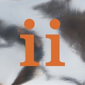 Antwoord - Single