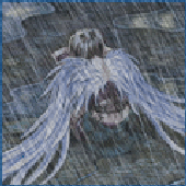 Avatar für Kaer-kun