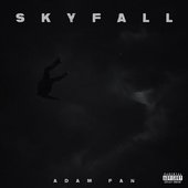 SKYFALL [Explicit]