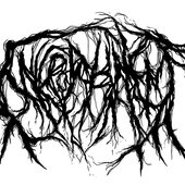0015350082_10.jpg