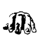 Avatar for Senzi-