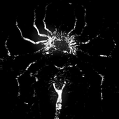 Avatar for Linokist_