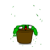 Avatar for WT-The-Fan