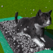 Avatar for maltosp