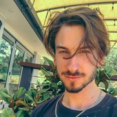 plant daddy