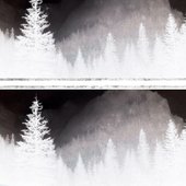 Cycles