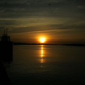 Avatar for TheComebackkit