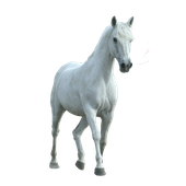 Avatar for amberrr5678