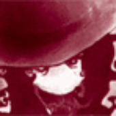 Avatar for Fladdeh