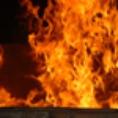 Avatar für Wendek
