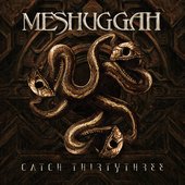 Catch Thirtythree: 20th Anniversary Edition