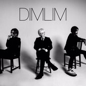 2019 DIMLIM