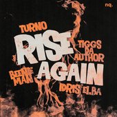 Rise Again