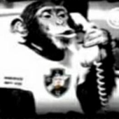 Avatar for adrieldig
