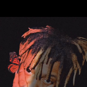 Avatar for Ludwig999
