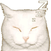 Avatar for gukitty
