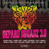 Gepard Squadz 3.0