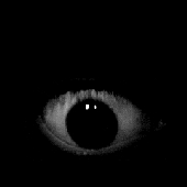 Your_Devil 的头像