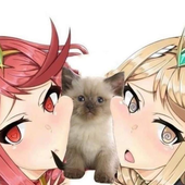 Avatar for opvro